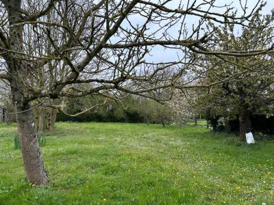 Acheter Maison Bouere Mayenne
