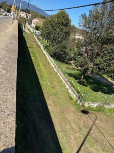 Annonce Vente Terrain Venzolasca 20