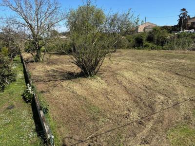 Acheter Terrain 2732 m2 Venzolasca