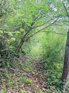 Acheter Maison 165 m2 Manneville-sur-risle