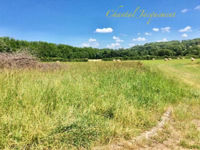 Acheter Terrain 1435 m2 Saint-jean-de-cole