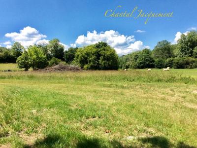 Annonce Vente Terrain Saint-jean-de-cole 24