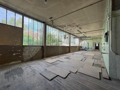 Acheter Maison 250 m2 Tours