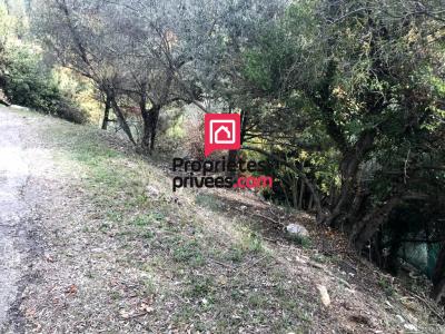 Annonce Vente Terrain Levens 06