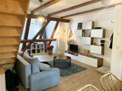 Annonce Location 2 pi�ces Appartement Colmar 68