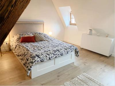 Louer Appartement 57 m2 Colmar