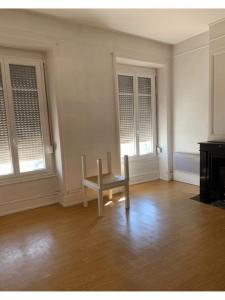Annonce Location Appartement Lyon-7eme-arrondissement 69