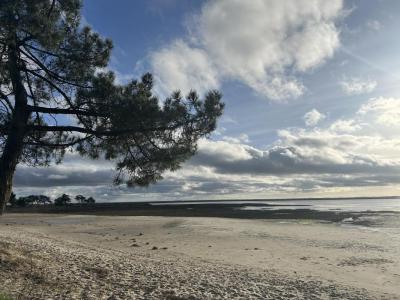 Acheter Maison 130 m2 Lanton