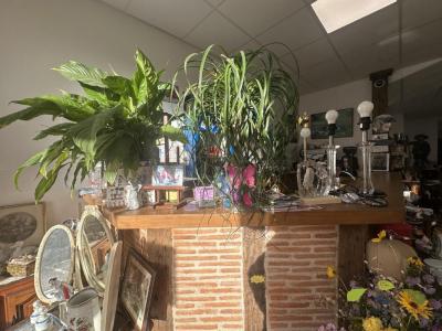 For sale Saint-leonard-de-noblat 150 m2 Haute vienne (87400) photo 4