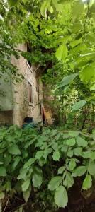 For sale Secenans 4 rooms 140 m2 Haute saone (70400) photo 2