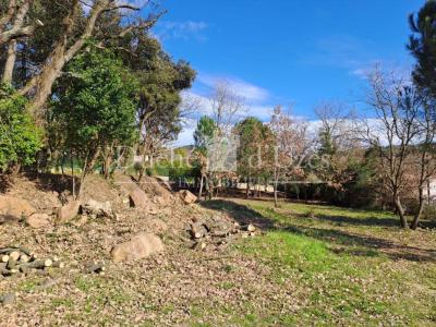Acheter Terrain 945 m2 Uzes