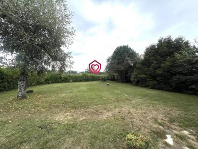 Annonce Vente 7 pi�ces Maison Mane 31