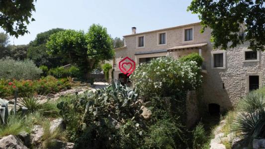 Acheter Prestige Sussargues Herault