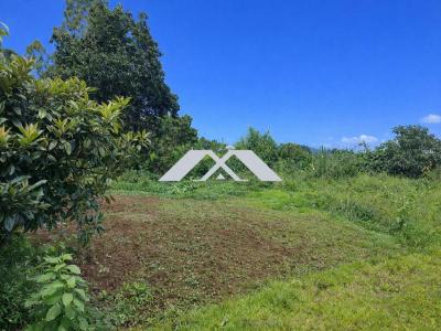 Annonce Vente Terrain Bois-de-nefles-saint-paul 974