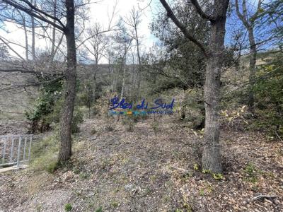 For sale Serdinya 16838 m2 Pyrenees orientales (66360) photo 2