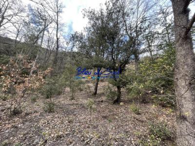 For sale Serdinya 16838 m2 Pyrenees orientales (66360) photo 3