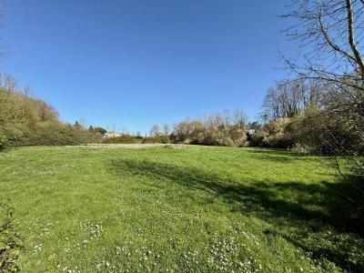 For sale Tillou 12 rooms 321 m2 Deux sevres (79110) photo 2