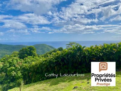 For sale Pointe-noire 1500 m2 Guadeloupe (97116) photo 0