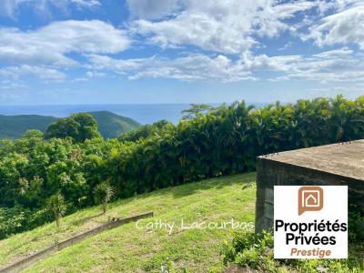 Annonce Vente Terrain Pointe-noire 971