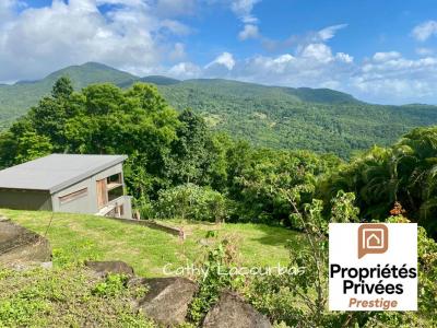 Acheter Terrain Pointe-noire Guadeloupe