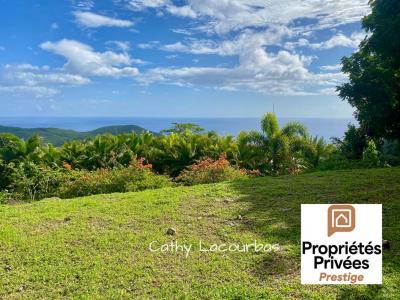 Acheter Terrain Pointe-noire 215000 euros