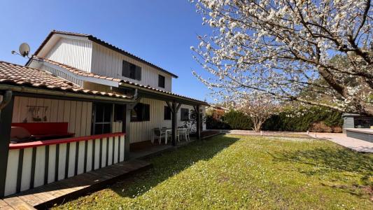 Annonce Vente 5 pi�ces Maison Lege-cap-ferret 33
