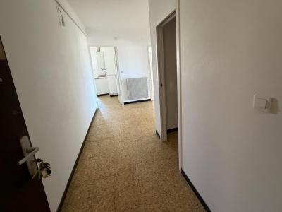 Annonce Location 3 pi�ces Appartement Ajaccio 20