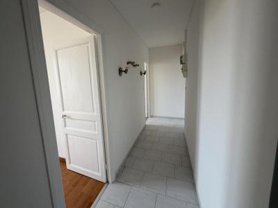 Annonce Location 3 pi�ces Appartement Ajaccio 20