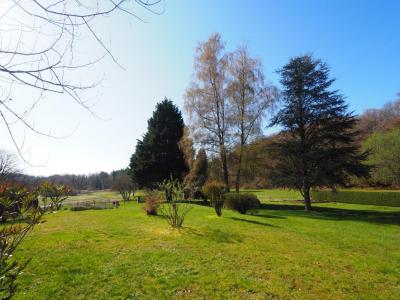 Annonce Vente Prestige Giromagny 90