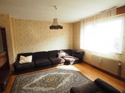 Acheter Maison Lepuix Belfort