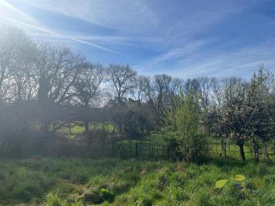 Acheter Maison Saint-augustin Correze