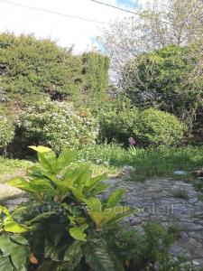 Acheter Maison 120 m2 Nissan-lez-enserune