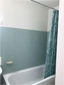 Annonce Location Appartement Toulouse 31