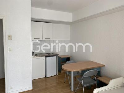 Annonce Location Appartement Grenoble 38