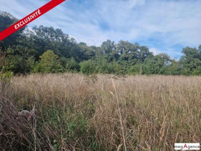 Annonce Vente Terrain Monteneuf 56