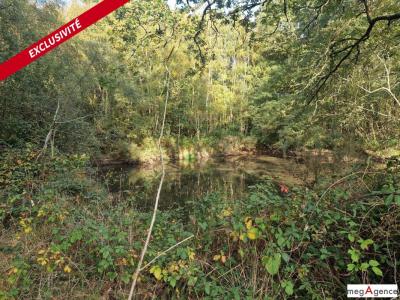 Acheter Terrain 32767 m2 Monteneuf