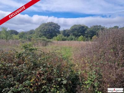 Acheter Terrain Monteneuf Morbihan
