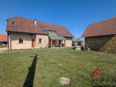 Annonce Vente 9 pi�ces Maison Francheville 39