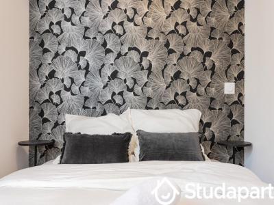 Louer Appartement 24 m2 Saint-etienne