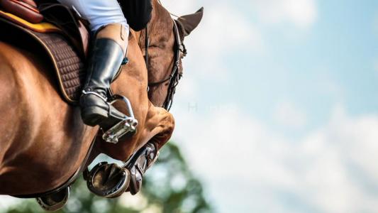 Annonce Vente Immeuble Toulon 83