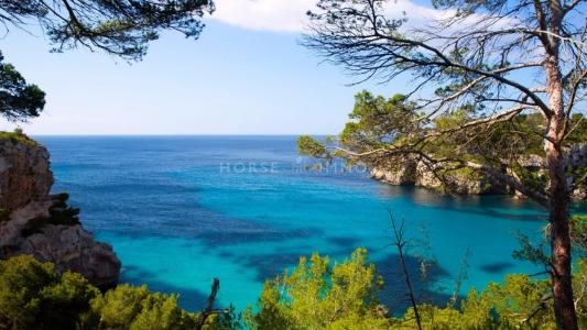 Annonce Vente Immeuble Marseille-1er-arrondissement 13