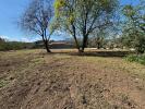 Vente Terrain Venzolasca  2732 m2