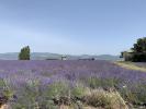 For sale Land Montelimar  290 m2