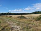 For sale Land Fargues-saint-hilaire 700 m2
