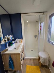 Acheter Mobile-home Erdeven Morbihan