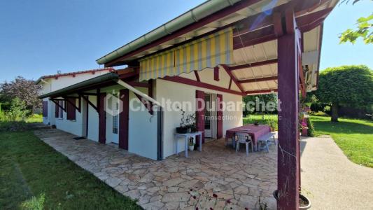 Annonce Vente 6 pi�ces Maison Balbigny 42