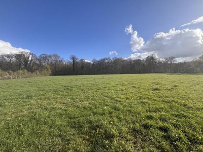 For sale Argentan Orne (61200) photo 0