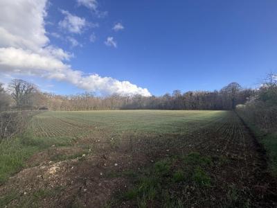 Annonce Vente Terrain Argentan 61