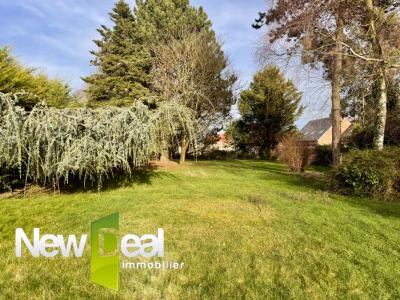 Annonce Vente 9 pi�ces Maison Landas 59