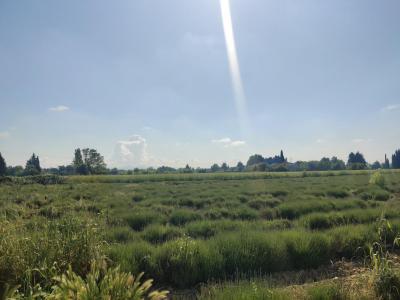 For sale Orange 90 m2 Vaucluse (84100) photo 0